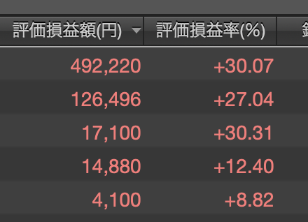 保有銘柄の評価損益額と評価損益率を示す投資口座の画面