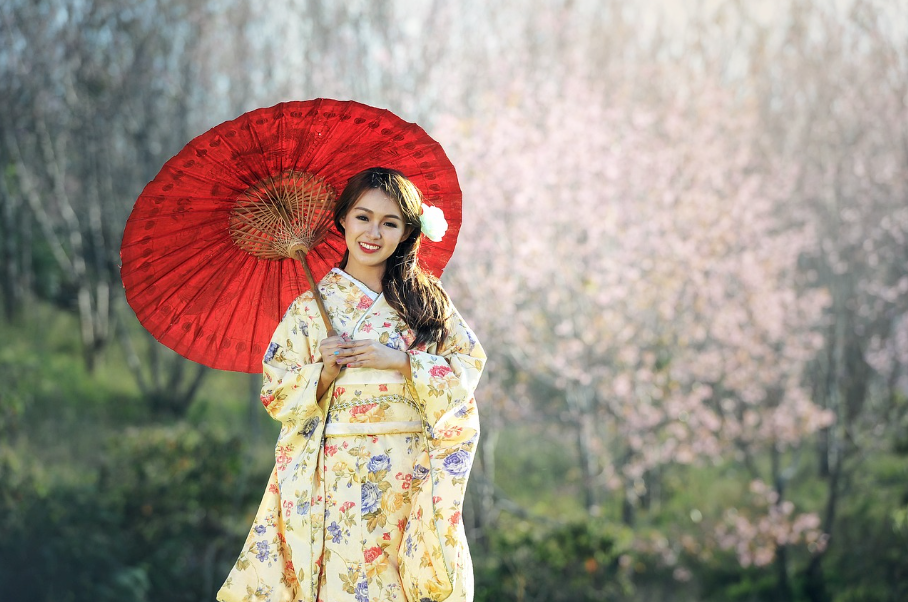 美しい日本女性と桜。赤い和風の傘に華やかな和服の女性